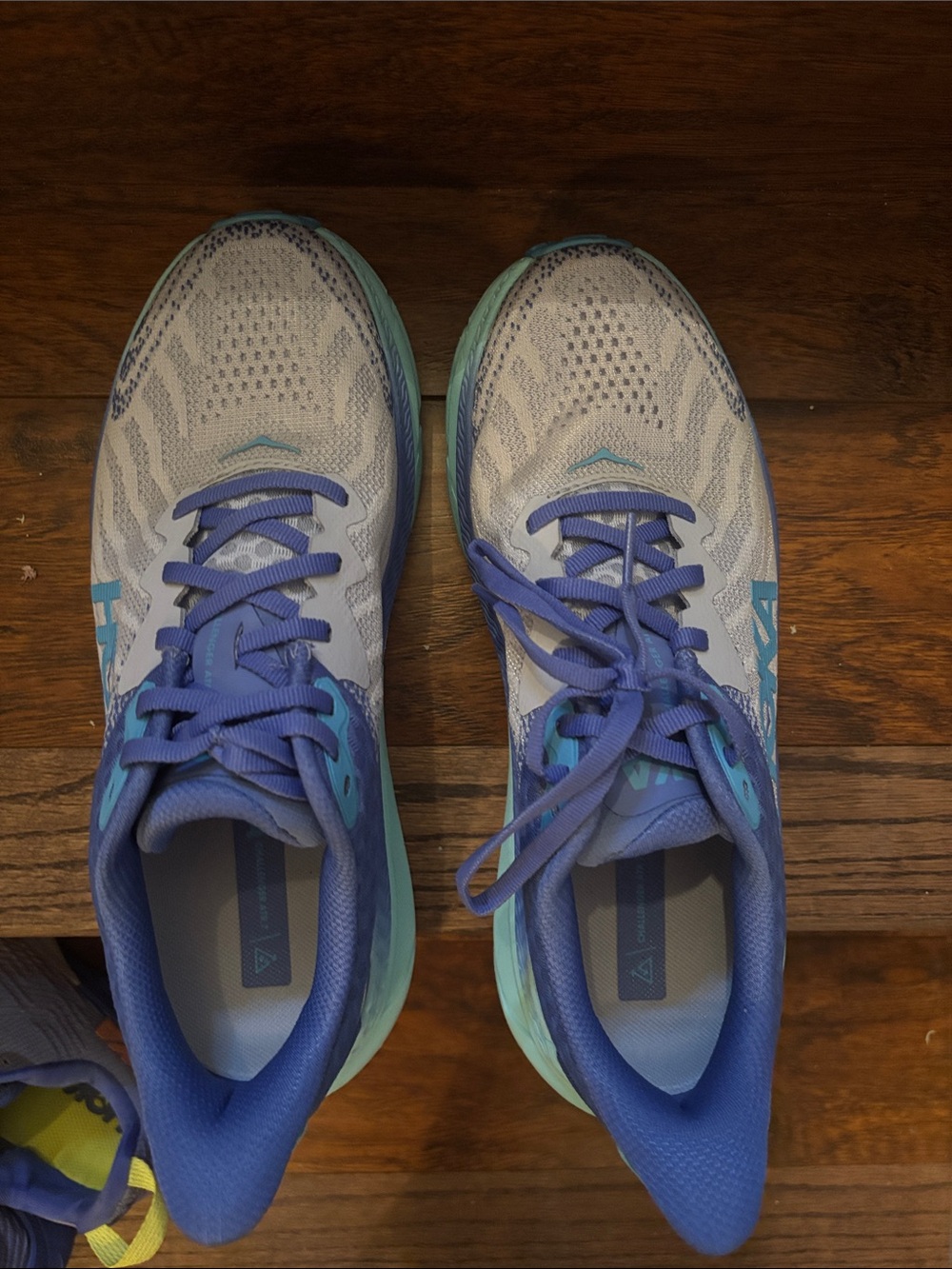 Hoka Women's Light Gray and Purple Athletic Running Shoes